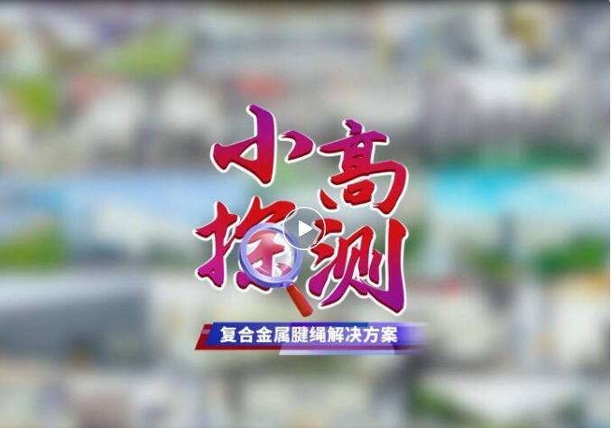 小高帶您揭秘高測股份復合金屬腱繩解決方案